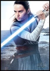 緊急売切即決限定価格 プロフ必読】スターウォーズ レイ ポスター 