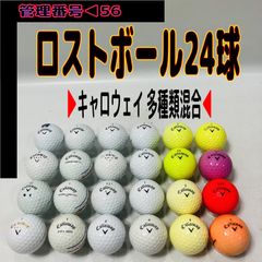 🌸🌸東京読売巨人軍2000年優勝記念品など - メルカリ