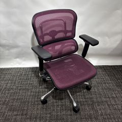 【美品】エルゴヒューマン ロータイプ｜人間工学チェア｜高機能メッシュ｜腰＆姿勢サポート◎