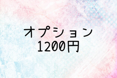 オプション1200円