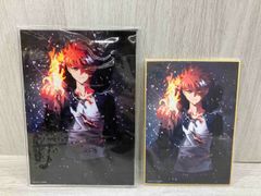 Fate/Kaleid liner 프리즈마일리야 TV 애니메이션 10주년 기념 복권 아크릴 패널 시로