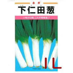 カネコ種苗　下仁田葱　１Ｌ