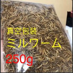 ミルワーム ドライ 乾燥 はりねずみ フクロ
