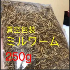 ミルワーム ドライ 乾燥 はりねずみ フクロのサムネイル
