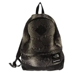 SUPREME (シュプリーム) 18SS×THE NORTH FACE Snakeskin Lightweight Day BackPack ザノースフェイス スネーク ライトウェイト デイパックパック リュック グレー NF0A3KVJ