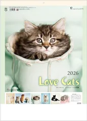 2025年最新】レイチェルヘイルの人気アイテム - メルカリ