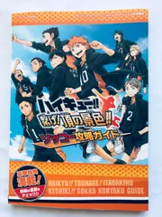 ハイキュー!! 繋げ! 頂の景色!! N3DS版 ソッコー攻略ガイド バンダイナムコゲームス公式攻略本 Vジャンプブックス 初版 ポスター Haikyu!!