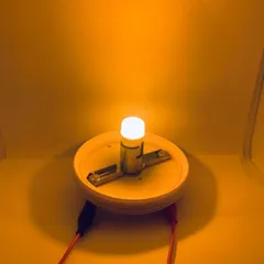 セール 爆光 デコトラ屋 正規品 高輝度 24V専用 BA15S S25 LEDバルブ 特殊レンズ搭載 シングル 平行ピン サイドマーカー バスマーカー ナマズ デコトラ レトロ 大型車 トラック 10個SET Bタイプ