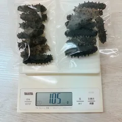 楽天市場】【関西産】B級品なまこ 1KG入り Mサイズ(5g以上