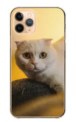 iPhone14Pro ケース ハードケース アイフォン14 プロ スマホケース 猫 ネコ 白猫  スコティッシュフォールド マンチカン 写真 可愛い オシャレ おしゃれ くすみ ベージュ カラー03