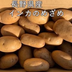 インカのめざめ　5.0㎏ 　M～Lサイズ　農薬不使用