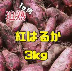 【紅はるか３ｋｇ：送料込】兵庫県産　べにはるか　1ヶ月超熟成　さつまいも　土付き　S～Mサイズ混載　４５