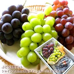 レッドシャイン 長野県産クイーンルージュシャインマスカット 岡山県産種無しピオーネ お中元 暑中お見舞い 残暑お見舞い [シャインルージュピオ] 冷蔵便 クール便