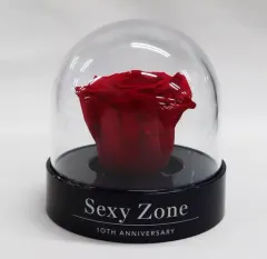 2025年最新】sexyzone 10周年 バラの人気アイテム - メルカリ