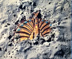 2025年最新】大発見 東京事変の人気アイテム - メルカリ