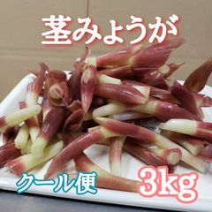 茎みょうが クール便3kg