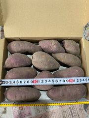 無農薬　さつまいも　紅はるか　⑨