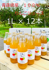 青森県産　りんごジュース　１リットル×12本