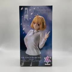 2025年最新】月姫 A piece of blue glass moon アルクェイド