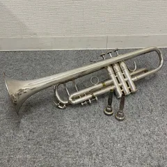 2025年最新】bach stradivariusの人気アイテム - メルカリ