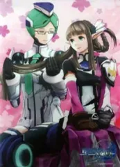 【中古】タペストリー イズナ&シャロン 描き下ろしB2タペストリー 「PS Vitaソフト ファンタシースターノヴァ」 WonderGOO予約特典