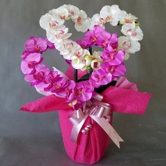 胡蝶蘭-白ピンクハート型 造花・光触媒コーティング