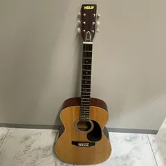 HOLLY　エレキギター エクスプローラータイプ 希少品 早いもの勝ち HOLLY エレキギター エクスプローラータイプ 希少品 早いもの