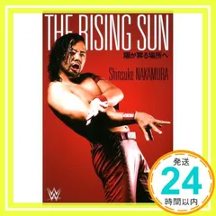 WWEフィギュア カートアングル 中邑真輔 カリート3体セット WWEフィギュア カートアングル 中邑真輔 カリート3体セット 2025