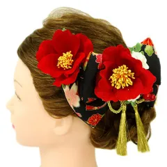 髪飾り リボン 卒業式 袴 成人式 赤 振袖 前撮り 花 2点セット 芙蓉 黒 白 ゴールド 房 房付き 組紐 和柄 かんざし おしゃれ No.9-2924