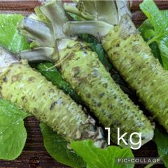 伊豆産 本生わさび 100g 山葵 - メルカリ