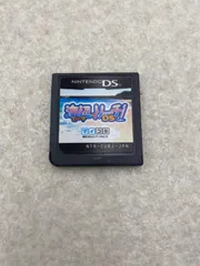 海辺でリーチ ビーチでリーチ　ニンテンドーDS　【動作品】　ソフトのみ