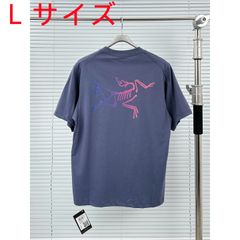 Arc'teryx アークテリクスKRAGG　Tシャツ　レディース　メンズ　半袖Tシャツ 男女兼用　L