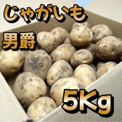 A-STYLE 自家栽培 じゃがいも 男爵芋 5ｋｇ「沖縄発送不可ショップアカウントではゆうゆうメルカリ便で送れないため沖縄への発送は出来かねます、個人アカウントよりご購入頂けましたら発送可能ですので出品いたしましたらそちらよりよろしくお願いいたします。」