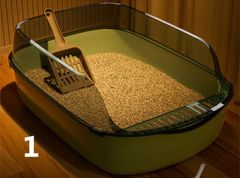 Item thumbnail for item 551f51e8-1f18-40c0-a525-3538915b3016