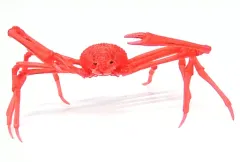 【中古】トレーディングフィギュア タカアシガニ(クリアーレッド) 「いきもの大図鑑」 『いきもの大図鑑』の大図鑑付録