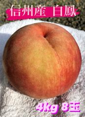 信州産もも【桃★白鳳】4kg8玉