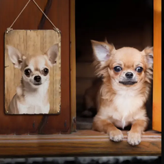 犬 チワワ ブリキ看板 a5