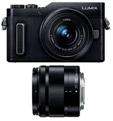 2026年最新】Panasonic ミラーレス一眼カメラ ルミックス GF9 ダブル