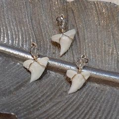 [新品・人気]天然⭐︎サメの歯⭐︎極小サイズ‼️(チャーム3個セット)