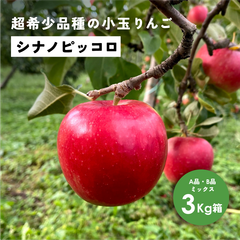 「シナノピッコロ3キロ箱A品B品」 農林水産大臣賞 りんご 長野県産 安曇野 信州産 産地直送 送料無料 3キロ 箱使用 果物 フルーツ 鮮度抜群 産地直送