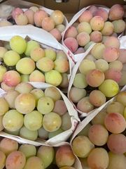 クイーンニーナ 種なし ぶどう 赤系　長野県産　葡萄　ぶどう　ブドウ　箱込み2kg前後　家庭用〜