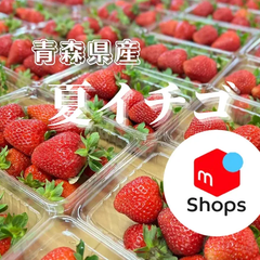 青森県産　夏イチゴ　8パックセット　いちご　苺