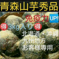 ⭐新芋⭐青森産山の芋秀品3キロ（山芋)
