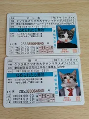 レア なめ猫 免許証 なめんなよゴールド免許証 61qi0JtEyTL._UF350,350_QL50_.jpg