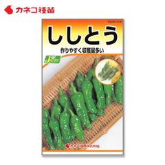 ししとう 種 早生 甘く風味が良い たくさん獲れる 家庭菜園 野菜の種 畑 カネコ種苗