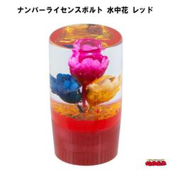 ナンバーライセンスボルト　水中花　レッド