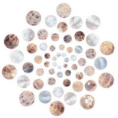 Item thumbnail for item 5959acc7-f216-488f-9047-f0e5ff429ebb