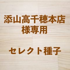 添山高千穂本店様専用　セレクト種子　2点