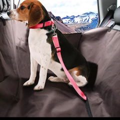 ペット 犬 車シートベルトリード安心ドライブ