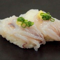 お刺身用 ヤリイカ げそ 5～6g×20枚入り 寿司ネタ 海鮮丼 手巻き寿司 生食用 やりいか 槍イカ 下足 ゲソ